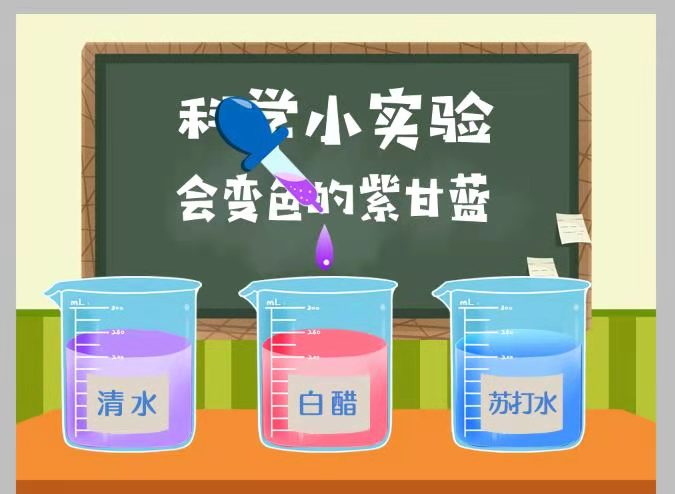 会变色的紫甘蓝